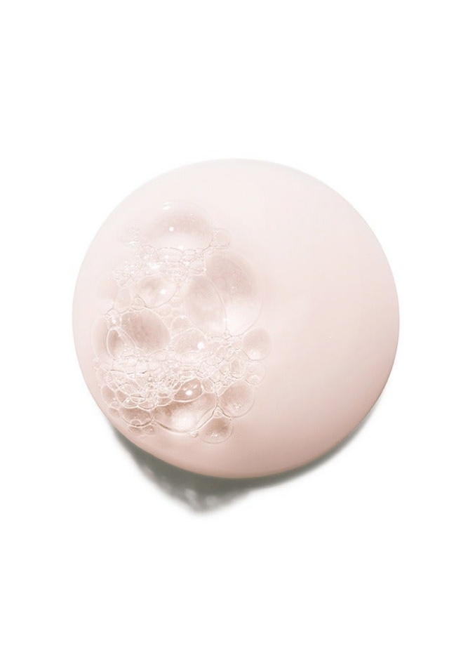 Chroma Absolu Hydrating Protective Shampoo 250ml