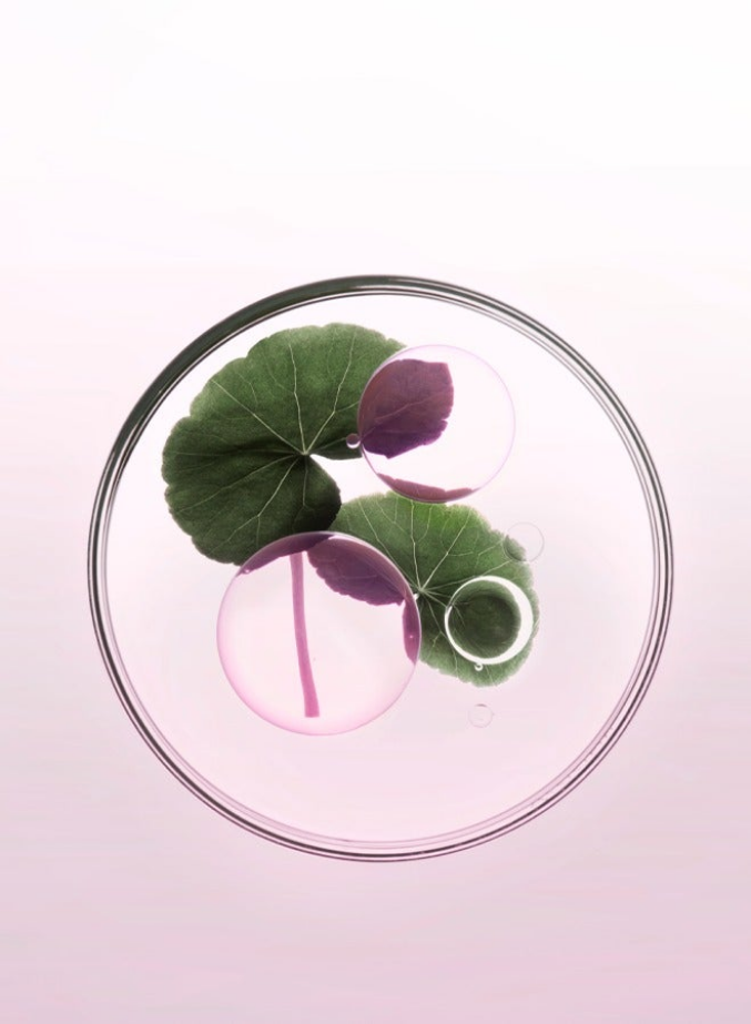 Chroma Absolu Sérum Chroma Thermique 150ml